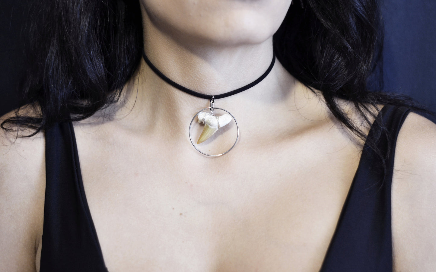 Shark Tooth Choker