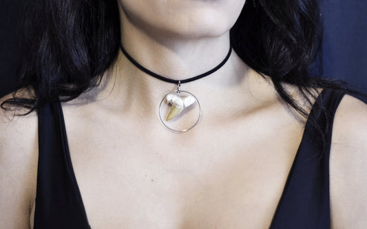 Shark Tooth Choker